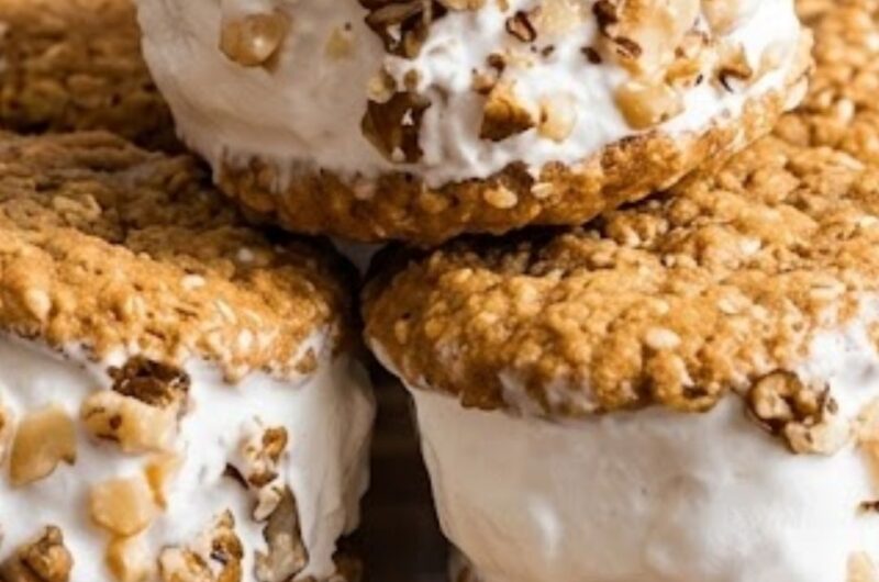 Trader Joe's Ice Cream Sandwich Recipe